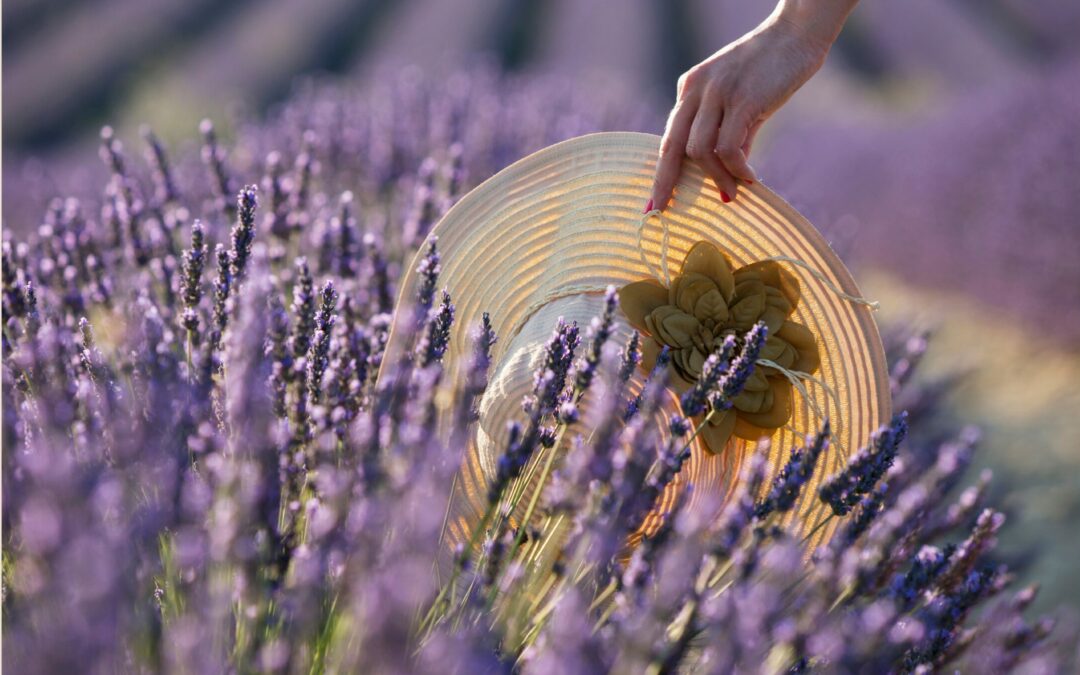 Les critères de sélection des voyageurs en 2025 : Tendances et attentes