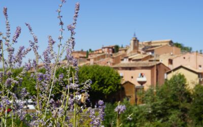 Les incontournables à découvrir autour d’Orange : Patrimoine, nature et escapades culturelles en Provence